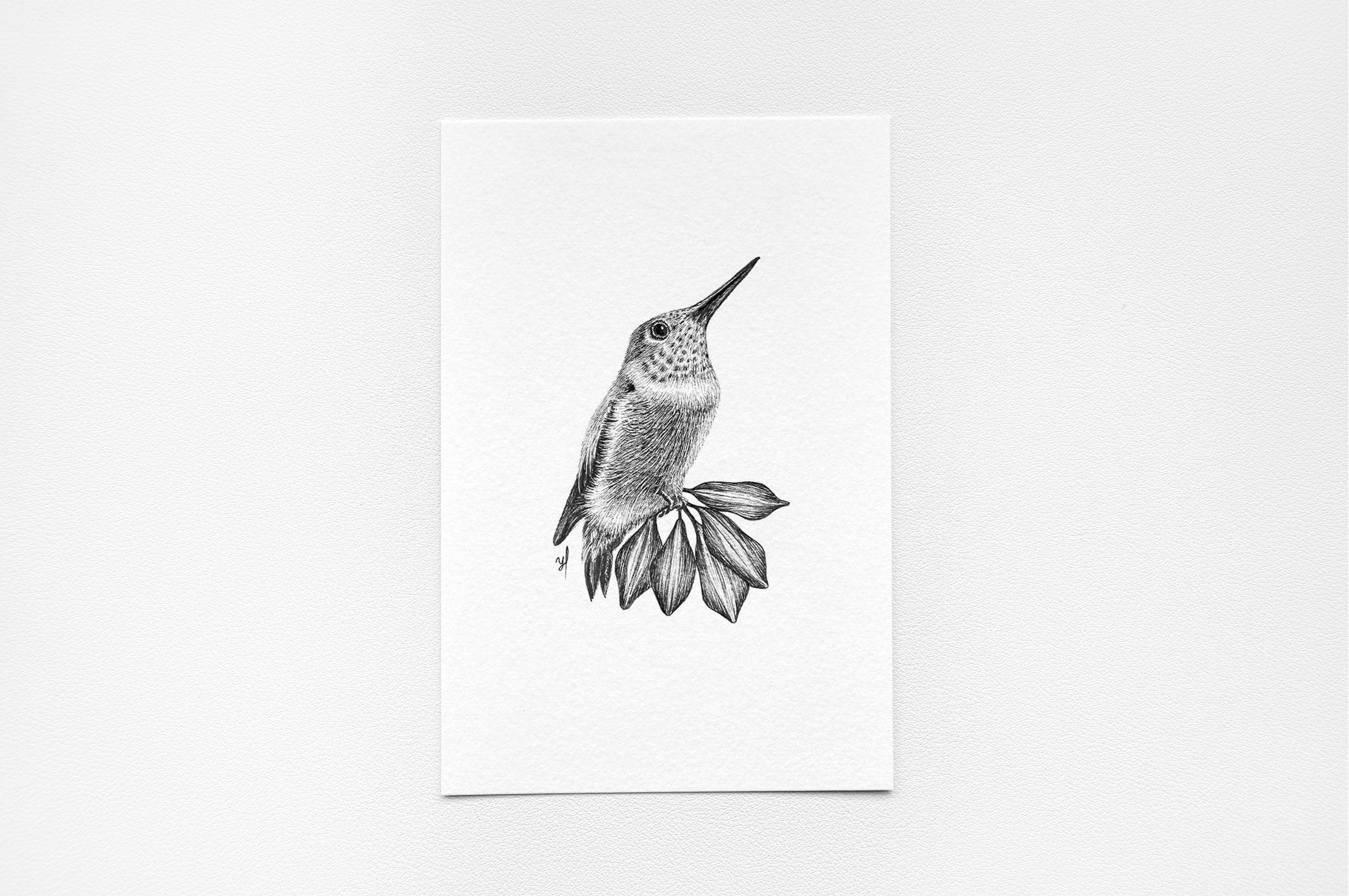 Original Hummingbird Ink Drawing Bird Wall Art Decor Etsy