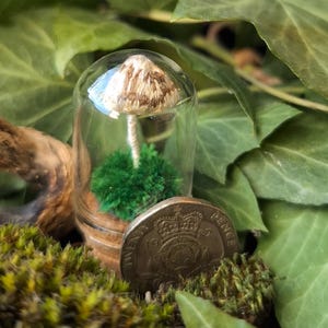 May include: A handcrafted miniature mushroom sculpture encased in a glass dome, resting on green moss. The mushroom features a beige cap and white stem, with a green base. A twenty pence coin is also visible.