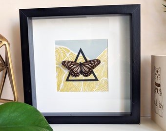 Framed Butterfly - Glassy Tiger - on Gold Lino Print Collage