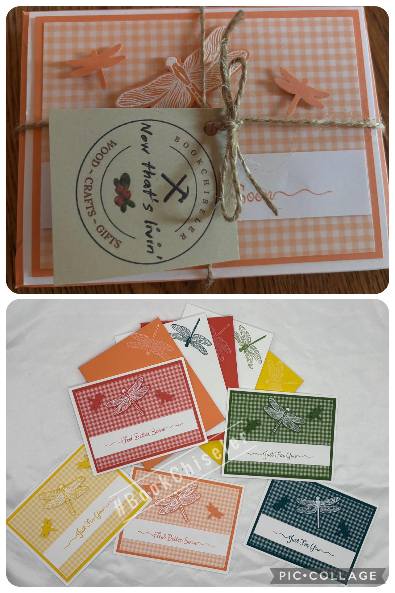 Assorted Set of 5 Note Cards - Etsy