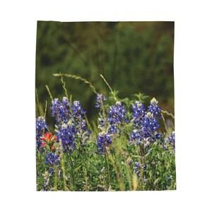 Texas Bluebonnets Velveteen Plush Blanket