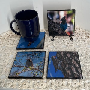 Beautiful Birds  photo coaster set