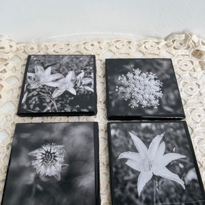 Black and white Flowers photo coasters