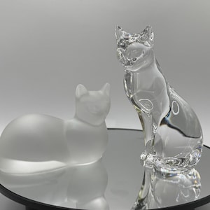Shamrock ★ Cat  833458_070715-wabc-solis1230-