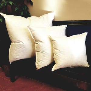 Down / Feather Pillow Insert