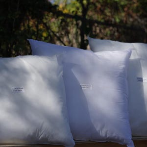 May include: Four white pillow inserts, each with a label that reads "Luxury Foam Pillow Insert".