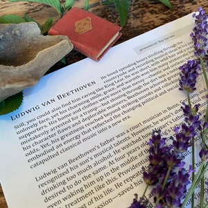 May include: A close-up of a page from a book about Ludwig van Beethoven. The text discusses his life and musical career. The page is decorated with a sprig of lavender flowers.