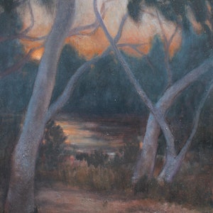 Ghost Gum Sunset