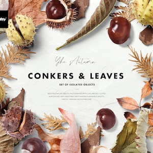 Autumn Nature Isolated Objects - Conkers & Leaves