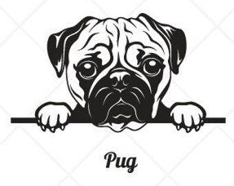 Peeking PUG DOG Clipart-Vector Clip Art Graphics-Digital Download Image-Cut Ready Files-CNC-Logo-Vinyl Sign Design-eps, ai, svg, dxf,png,pdf