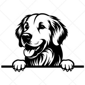 Espiando Golden Retriever SVG-Vector Clip Art Gráficos-Download digital Imagem-Cricut Cut Files-CNC-Dog Vinyl Sign Design -eps, ai, dxf, png