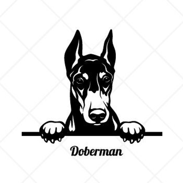 Peeking DOBERMAN PINSCHER Dog Clipart-Vector Clip Art Graphics Download-Cut Ready Files-CNC-Logo-Vinyl Sign Design-eps, ai, svg, dxf,png,pdf