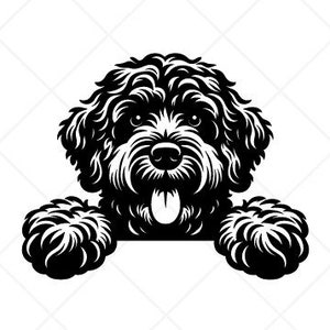 Goldendoodle SVG Peeking Dog Clipart-Vector Clip Art-Téléchargement numérique-Silhouette coupe fichiers-Cricut vinyle signe Design-png, dxf, eps, ai, pdf