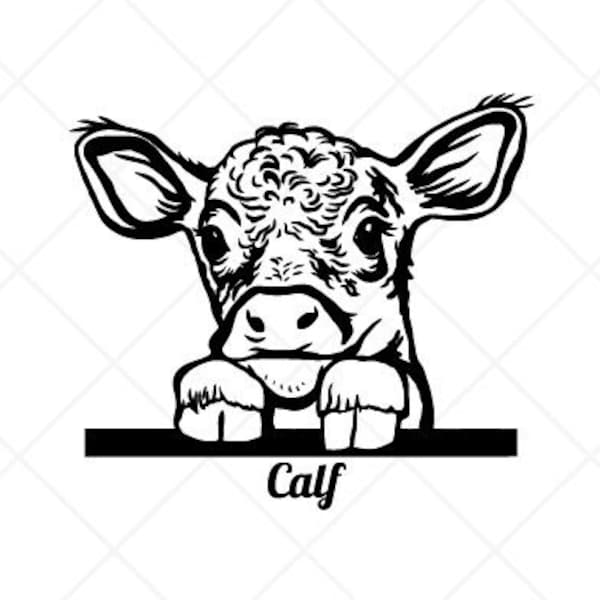 Peeking BABY COW Calf Clipart-Vector Clip Art Graphics-Digital Download Image-Cut Ready Files-Logo-Vinyl Sign Design -eps, ai, svg, dxf, png