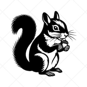 Écureuil gris tenant un écrou Clipart-Vector Clip Art graphique-téléchargement numérique pour fichiers de coupe Cricut-vinyl Sign Design-eps, ai, dxf, png
