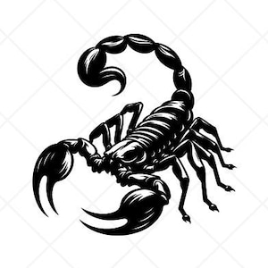 Scorpione Scorpione SVG Clipart-Vector Clip Art Graphics-Digital Download Immagine-Cut Files-CNC-Logo-Vinyl Sign Design-eps, ai, dxf, png, pdf