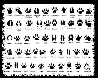 ANIMAL TRACKS-FOOTPRINTS Clipart-Vector Clip Art Graphics-Digital Image Download-Template Design Element Files-Logo-Sign-eps, ai,svg,cdr,pdf