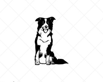 Download Border Collie Image Etsy