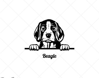 Cute Beagle Svg Etsy