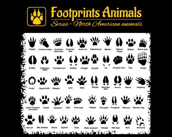 Download Animal Tracks Svg Etsy