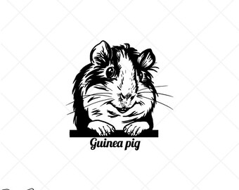 Download Guinea Pig Svg Etsy