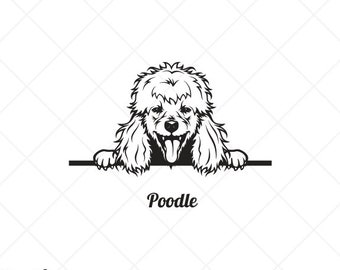 Download 40+ Free Poodle Svg Images Free SVG files | Silhouette and ...