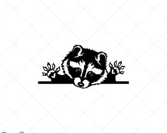 Download Baby Raccoon Svg Etsy