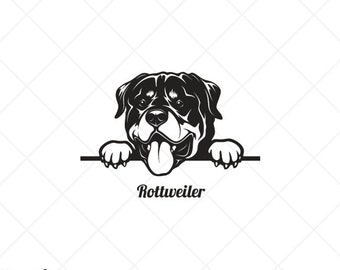 Download Rottweiler Svg Etsy