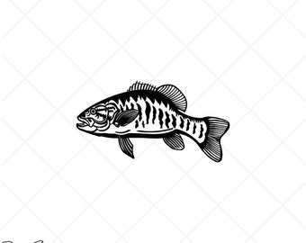 Download Smallmouth Bass Svg Etsy