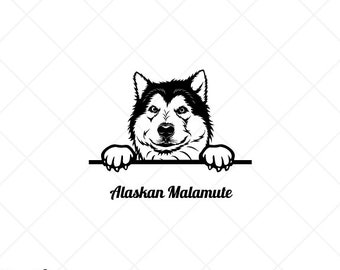 Peeking ALASKAN MALAMUTE Dog Clipart-Vector Clip Art Graphics Download-Cut Ready Files-CNC-Logo-Vinyl Sign Design-eps, ai, svg, dxf, png,pdf