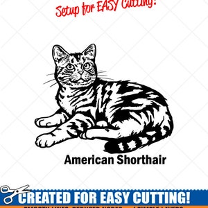 Shorthair Cat Clipart-Vector Clip Art Graphics-Digital Download Image-Cut Ready Files-CNC-Logo-Vinyl Sign Design-eps, ai, svg, dxf, png, pdf