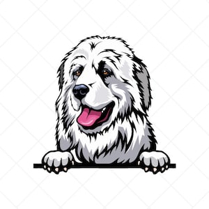 Große Pyrenäen Spähen Clipart svg eps png jpg-Vector Clip Art-Pyrenäen Sennenhund Download Dateien für Schilder, T-Shirts, Logo Designs, etc