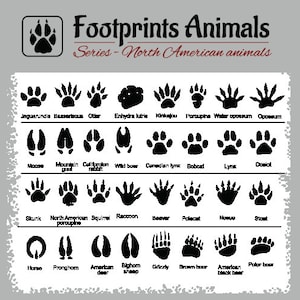 ANIMAL TRACKS-FOOTPRINTS Clipart-Vector Clip Art Graphics-Digital Image Download-Template Design Element Files-Logo-Sign-eps, ai,svg,cdr,pdf