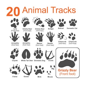 ANIMAL TRACKS-FOOTPRINTS Clipart-Vector Clip Art Graphics-Digital Image Download-Template Design Element Files-Logo-Sign-eps, ai,svg,cdr,pdf