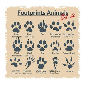 ANIMAL TRACKS-FOOTPRINTS Clipart-Vector Clip Art Graphics-Digital Image Download-Template Design Element Files-Logo-Sign-eps, ai,svg,cdr,pdf