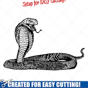 Gedetailleerde COBRA SNAKE Clipart-Vector Clip Art Graphics-digitale downloaden-Cut klaar bestanden-Logo-mascotte-Vinyl teken Design - eps, ai, svg, dxf, png