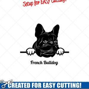 Späht französische Bulldogge Hund Clipart Vektor Clip Art Grafiken Download-Cut bereit Dateien-CNC-Logo-Vinyl-Zeichen-Design - Eps, Ai, Svg, Dxf, Png, pdf