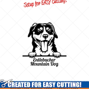 Peeking ENTLEBUCHER MOUNTAIN Hund Clipart-Vector ClipArt Grafik Download-Cut Ready Dateien-CNC-Logo-Vinyl Zeichen Design-eps, ai, Svg, Dxf, Png