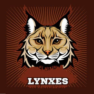 LUCHSE-BOBCAT-Maskottchen-Sport-Team Clipart Vektor Clip Art Grafik-Digital Download-Business Vorlage Logo-Design-Dateien-Eps, Ai, Svg, cdr, pdf
