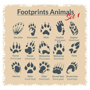 ANIMAL TRACKS-FOOTPRINTS Clipart-Vector Clip Art Graphics-Digital Image Download-Template Design Element Files-Logo-Sign-eps, ai,svg,cdr,pdf