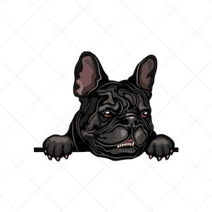 Französische Bulldogge Spähen Clipart svg eps png jpg-Vector Clip Art-Frenchie Hund Download-Dateien für Schilder, T-Shirts, Druck, Logo-Designs, etc