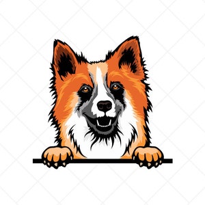 Cane da pastore islandese che sbircia Clipart svg eps png jpg-Vector Clip Art-Iceland Spitz Dog Scarica file per segni, magliette, stampa, disegni del logo