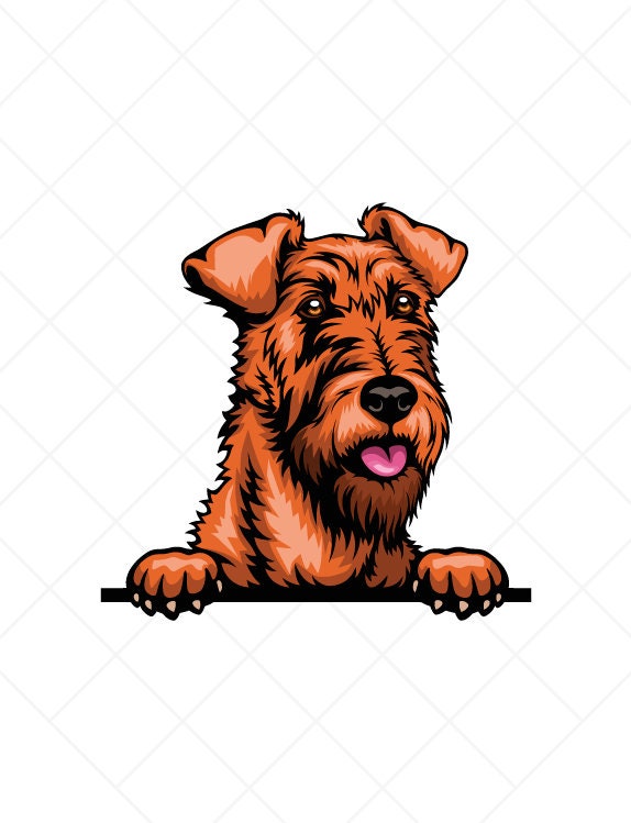 psaマガジン super stickers irish terrier PSA VeeFriends Super Stickers INSIGHTFUL IRISH TERRIER