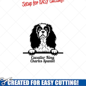 Espiando CAVALIER King Charles Spaniel Dog Clipart-Vector Clip Art Gráficos-Corte Arquivos Prontos-CNC-Vinil Sign Design-eps, ai, svg, dxf, png, pdf