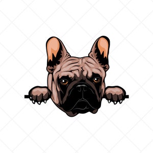 Französische Bulldogge Clipart svg eps png jpg-Vektor Clip Art-Frenchie Hund Download Dateien für Schilder, T-Shirts, Druck, Logo Designs, etc
