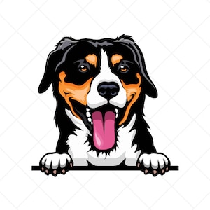 Entlebucher Sennenhund Spähen Clipart svg eps png jpg-Vector Clip Art-Download-Dateien für Schilder, T-Shirts, Druck, Logo-Designs, etc