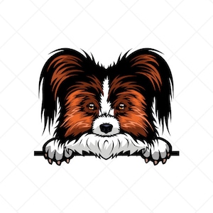 Papillon Peeking Dog Clipart svg eps png jpg-Vector Clip Art - Kleur Digitale Download Bestanden voor Tekens, T-Shirts, Afdrukken, Logo Ontwerpen, Etc