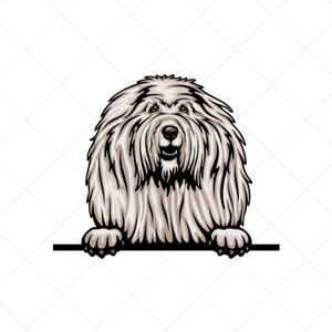Komondor Spähen Hund Clipart svg eps png jpg-Vektor Clip Art-Farbe digitale Download Dateien für Schilder, T-Shirts, Druck, Logo-Designs, etc