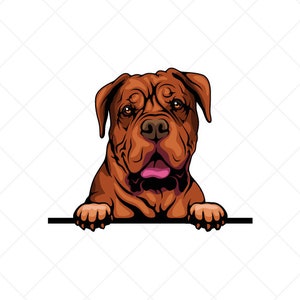 Dogue-de Bordeaux Gluren Clipart svg eps png jpg-Vector Clip Art-Mastiff Dog Download bestanden voor tekenen, T-shirts, afdrukken, logo ontwerpen, enz.