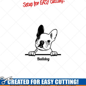 Peeking Französisch BULLDOG Welpen Hund Clipart-Vector ClipArt Grafik Download-Cut Ready Dateien-CNC-Vinyl Zeichen Design-eps, ai, Svg, Dxf, Png, pdf